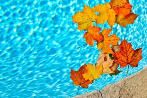 Resurfacing Your Pool In The Fall