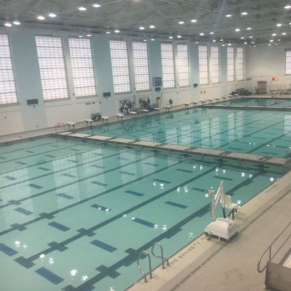 Professional Pool Services in Springfield