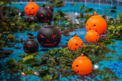 Halloween Pool Decor Ideas in Maryland