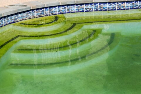 Treat and Prevent Swimming Pool Algae in Maryland
