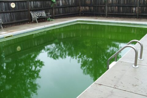Understanding Green Pool Water by Millennium Pools & Spas