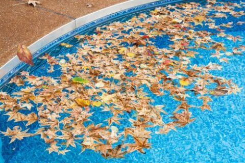 Pool filled with fallen leaves showing need for cleaning before winter closing
