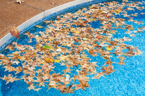 Pool filled with fallen leaves showing need for cleaning before winter closing